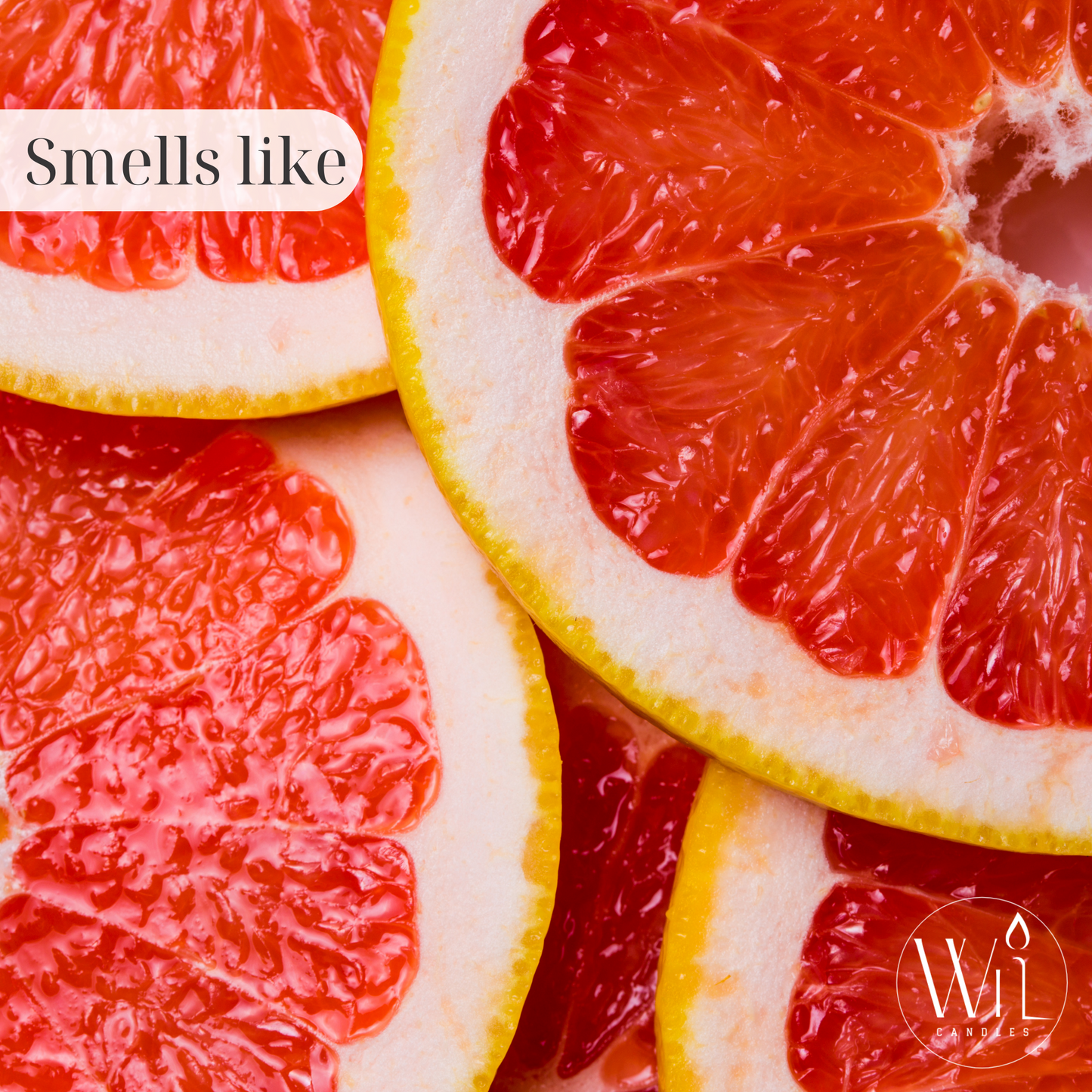 Citrus Cedar Wax Melt | Everyday Scent by Wil Candles