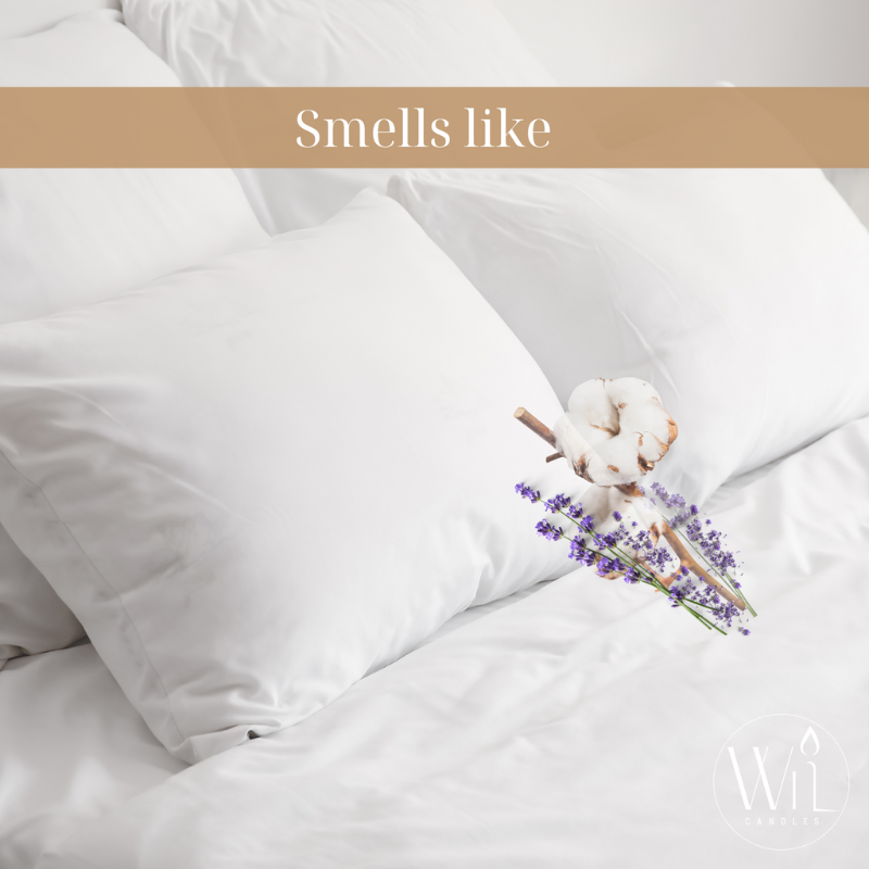 White Linen Embrace Candle | Everyday, Fresh Scent by Wil Candles