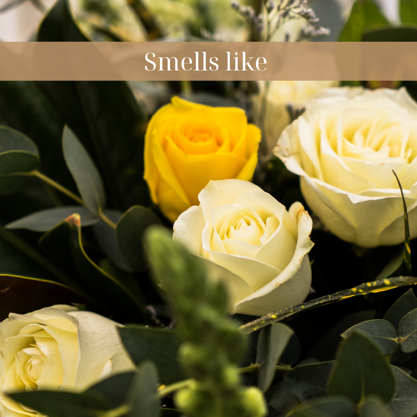 Velvet Rose Candle | Everyday, Floral Scent by Wil Candles