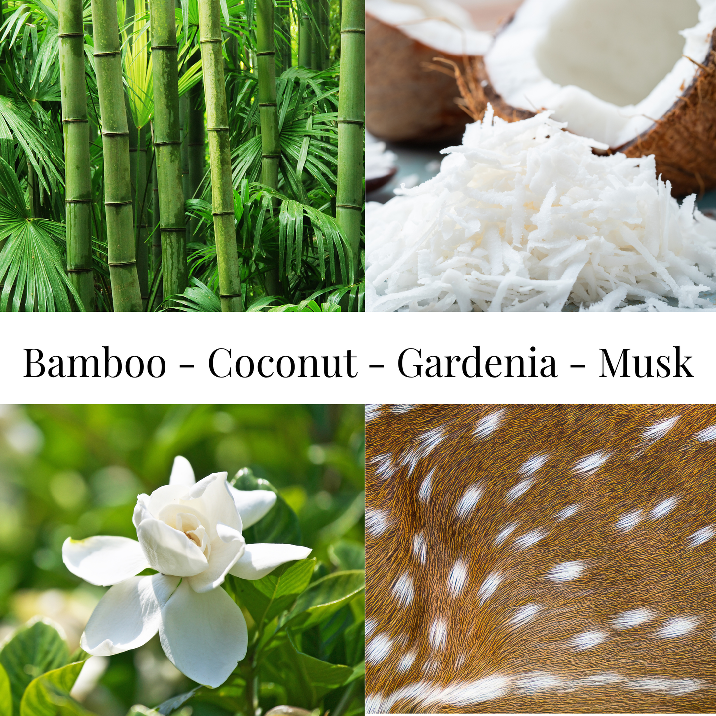 Beach Cottage | Coconut Soy Wax Candle