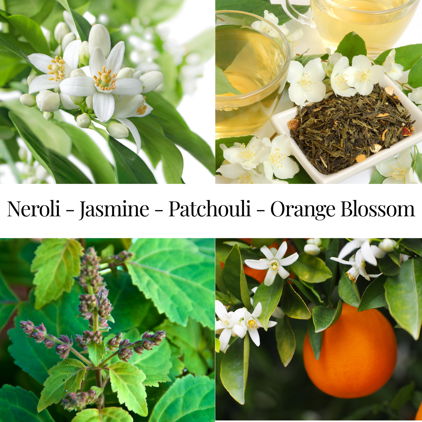 Lushé Bloom No. 9 | Coconut Soy Wax Candle