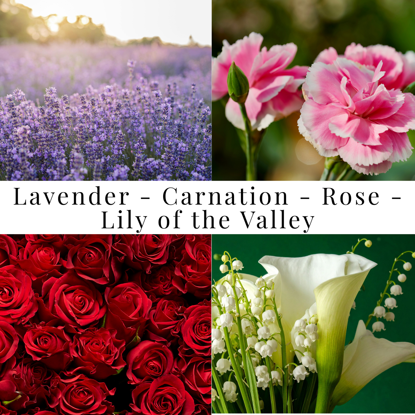 Rose Water & Lily | Coconut Soy Wax Candle